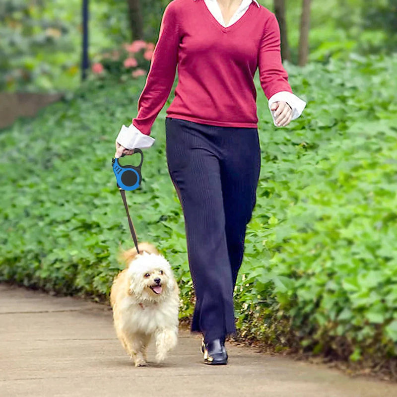 Coleira para cães - Tudo em Utilidades